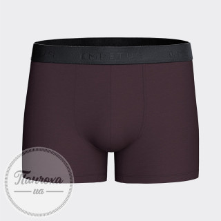 Труси чоловічі IMPETUS COTTON STRETCH IM1221N66