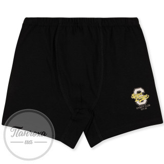 Труси для хлопців BAYKAR 3938-1