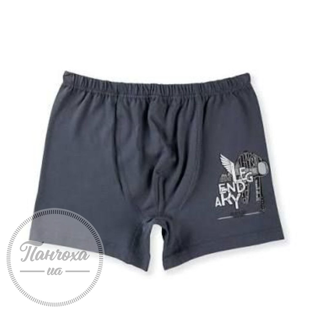 Труси для хлопців BAYKAR 3962 р.158-164 Сірий Труси для хлопців BAYKAR 3962 р.158-164 Сірий