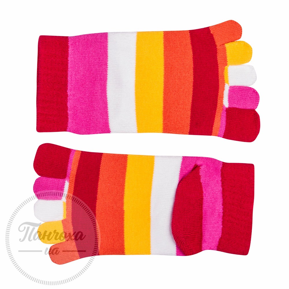 Шкарпетки з пальчиками ATTRACTIVE Sneaker Socks (one size) 5-ти кольорові Шкарпетки з пальчиками ATTRACTIVE Sneaker Socks (one size) 5-ти кольорові