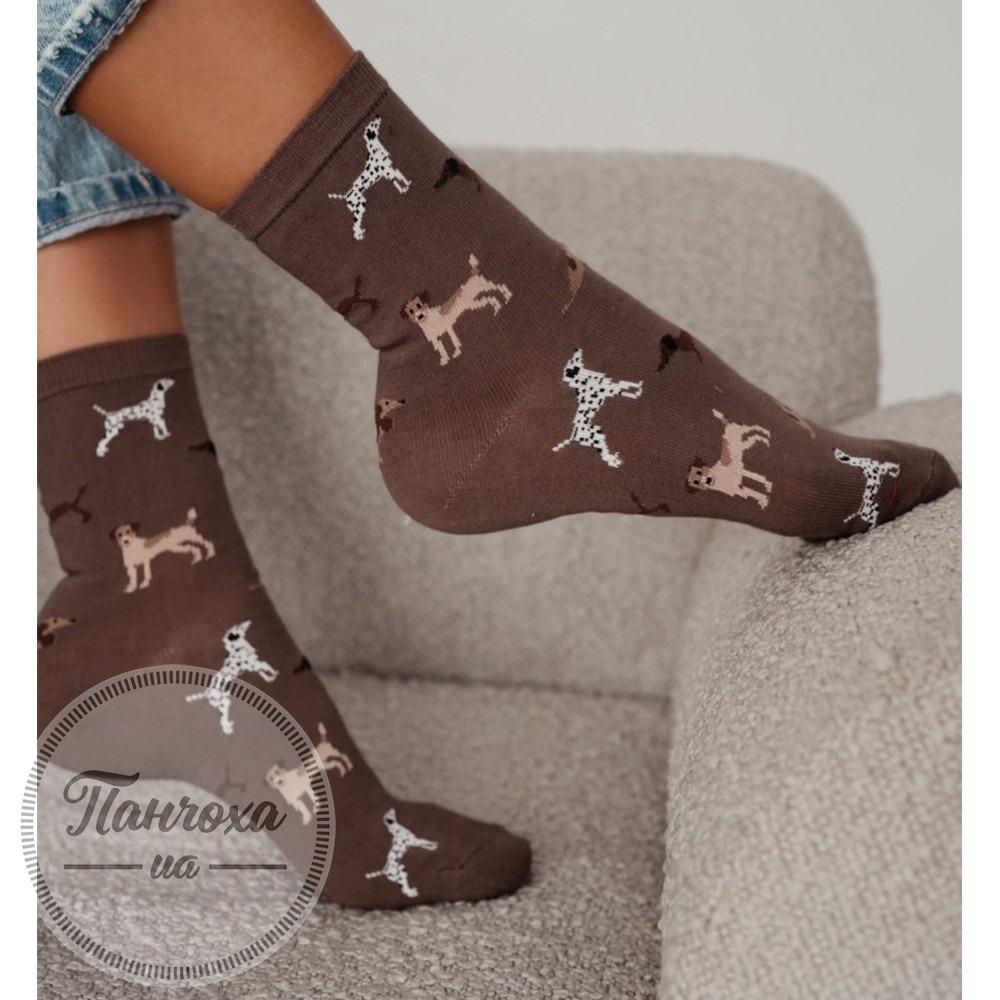 Шкарпетки жіночі MILENA (PSY) p.37-41 Коричневий Шкарпетки жіночі MILENA (PSY) p.37-41 Коричневий