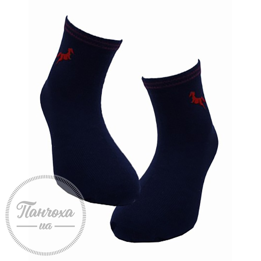 Шкарпетки для хлопчиків ARTI 220024 р.28-30 (5-6 років) Темно-синій