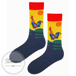 Шкарпетки чоловічі MARILYN F54 р.41-45 