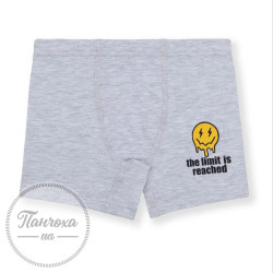 Трусы для парней BAYKAR 3530 р. 86-92 Св. - серый