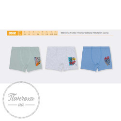 Труси для хлопців BAYKAR 3512 р.86-92 Оливковий