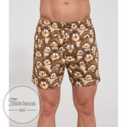 Труси чоловічі Cornette Classic 001/196 (3XL)