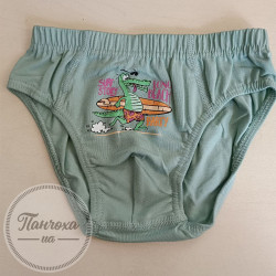 Трусы для парней BAYKAR 3509 Р. 98-104 зеленый