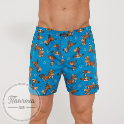 Труси чоловічі Cornette Classic 001/191 (3XL)