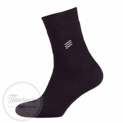 Шкарпетки чоловічі Master 119 р.27-29 махрові/стрейч, Чорний