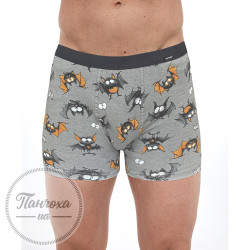 Труси чоловічі Cornette TATTOO "BAT" 280/252 (L)