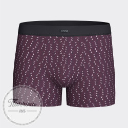 Труси чоловічі IMPETUS COTTON MODAL STRETCH IM1223N64/1 р.L Марсала