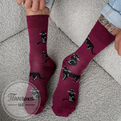 Шкарпетки чоловічі MILENA Koty р.39-42 Бордовий