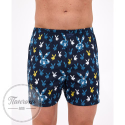 Труси чоловічі Cornette Classic 001/180 (L)