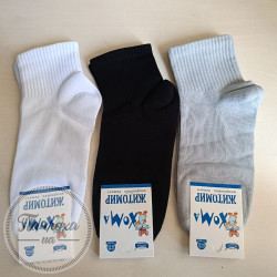 Шкарпетки Master Хома для хлопчиків (резинка) р.20-22 Сірий