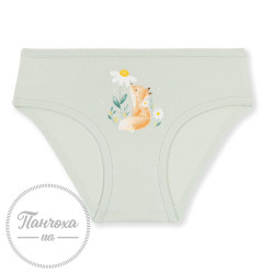 Трусы для девушек BAYKAR 5838 р. 98-104 мятный
