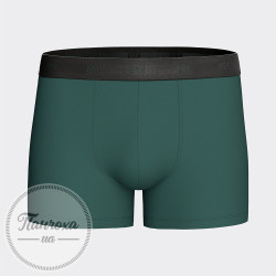 Труси чоловічі IMPETUS IM1221N65 р.L Зелений