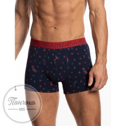 Труси чоловічі LAMA (M-1053 SZG / XXL) Синій