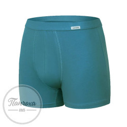 Трусы Мужские Cornette Authentic PERFECT 220 (XL) сине-зеленый