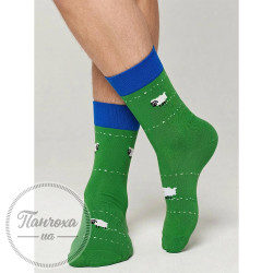 Носки Мужские MARILYN (BARANEK) р. 41-45 Green