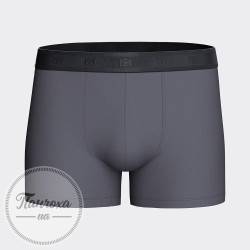 Трусы Мужские IMPETUS IM1221N63 р. L серый