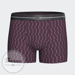 Труси чоловічі IMPETUS COTTON MODAL STRETCH IM1221N64/1 р.L 