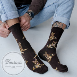 Носки Мужские MILENA Owczarki р. 39-42 коричневый