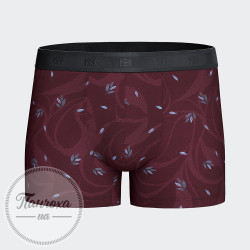 Труси чоловічі IMPETUS IM1221N63 р.M Бордовий