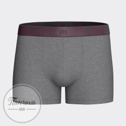 Труси чоловічі IMPETUS COTTON STRETCH IM1221N68 р.L Сірий