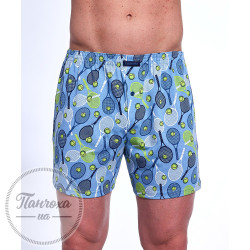 Труси чоловічі Cornette Classic 001/173 (L)