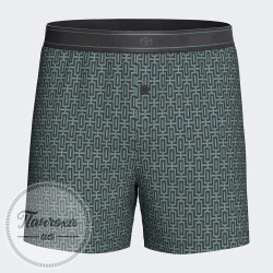 Труси чоловічі IMPETUS IM1251N7200 р.L Зелений 