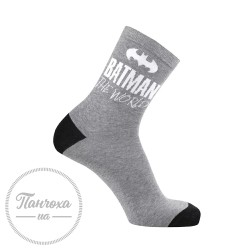 Шкарпетки чоловічі Дюна 5204 р.27-29 Сірий
