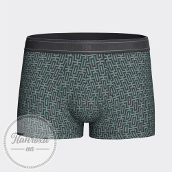 Труси чоловічі IMPETUS COTTON MODAL STRETCH IM1221N72 р.L Зелений