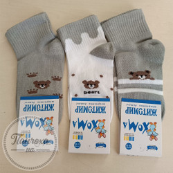 Шкарпетки Master Хома для хлопців (ведмедик) р.14-16 Сірий