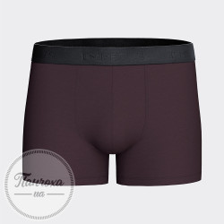 Труси чоловічі IMPETUS COTTON STRETCH IM1221N66 р.XXL Сливовий